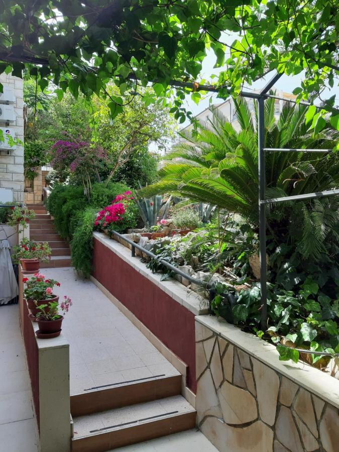 Villa Tania フヴァル エクステリア 写真