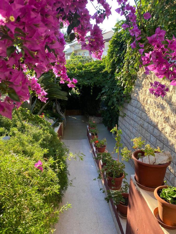 Villa Tania フヴァル エクステリア 写真